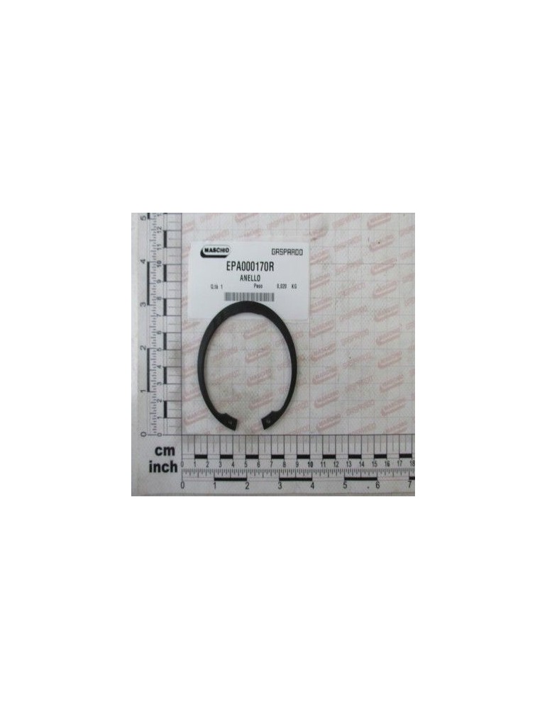 Maschio Gaspardo INEL EPA000170R