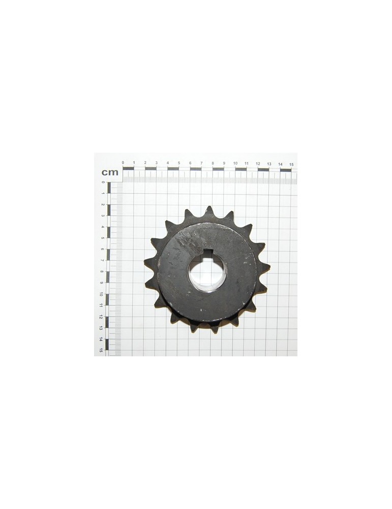 PINION 3/4 Z17 X RULLO ESTRAT