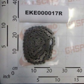 PICK-UP CHAIN