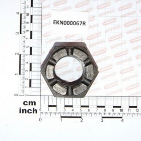CASTELLATED NUT M39