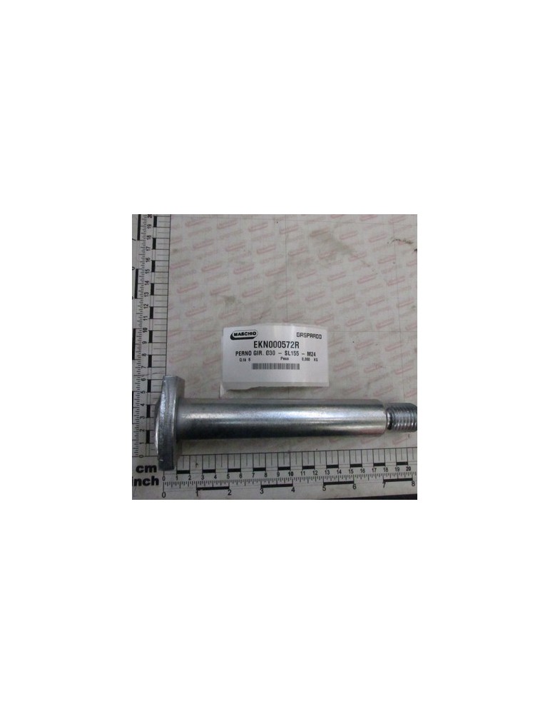 SWIVEL PIN Ã30 - SL155 - M24