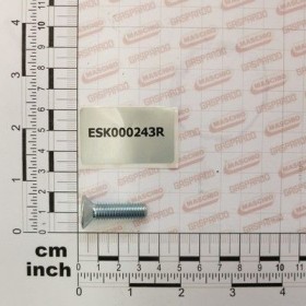 Maschio Gaspardo SURUB TSEI 10.9 M 8X 30 ZN UN ESK000243R