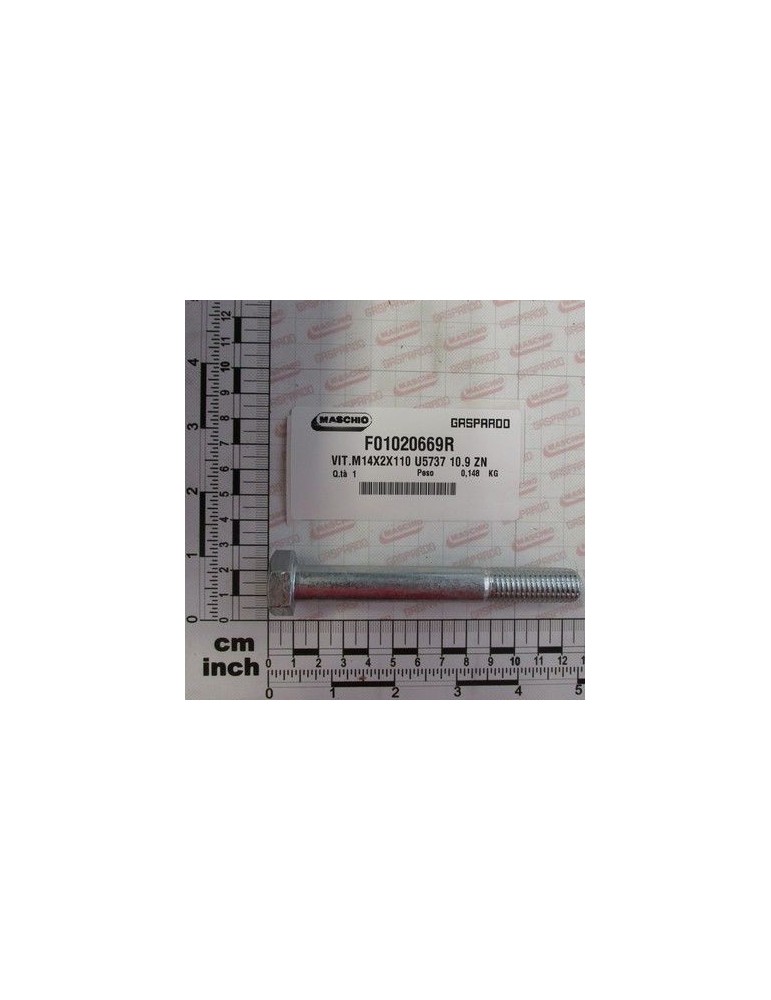 Maschio Gaspardo VIT.M14X2X110 U5737 10.9 ZN F01020669R
