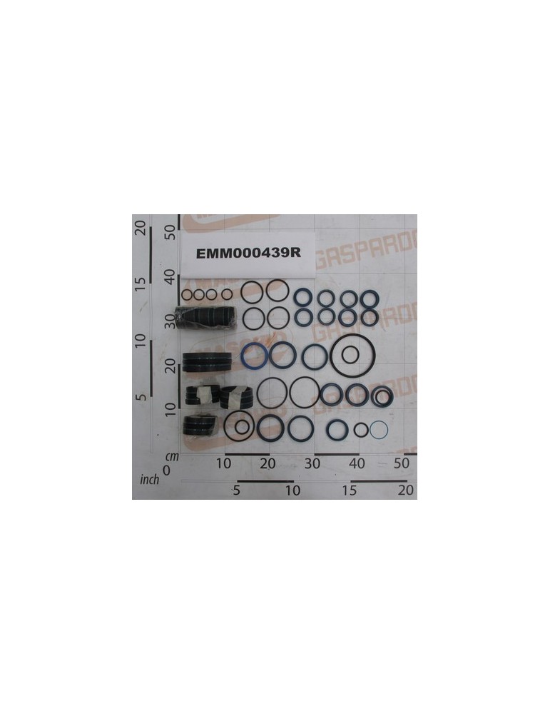 SERIES SEALS CYLINDER