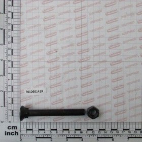 Maschio Gaspardo SUR. M12X1,75X 100SPEC**12.9ZN F01060141R