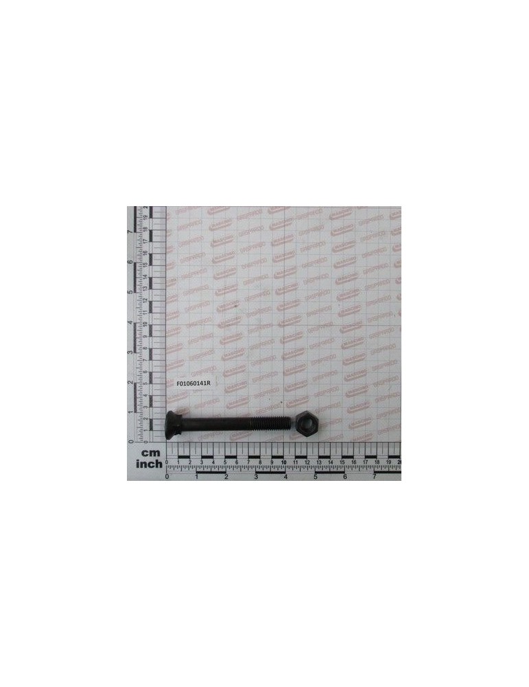 Maschio Gaspardo SUR. M12X1,75X 100SPEC**12.9ZN F01060141R
