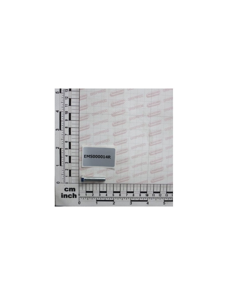 BOLT TE    M 6X 30  8.8 5739 Z