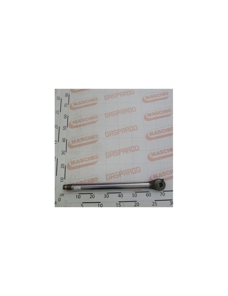 Maschio Gaspardo STELO+OCCH.CILINDRO R17014211 F03156194R