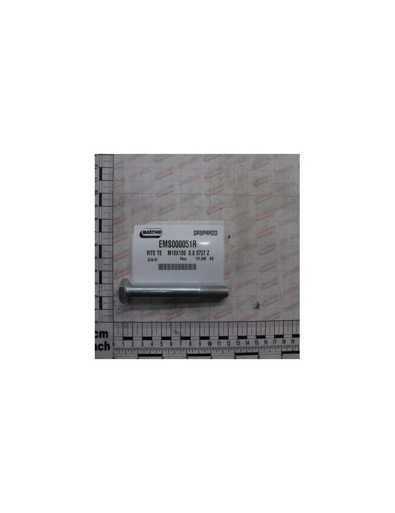 BOLT TE    M10X100  8.8 5737 Z