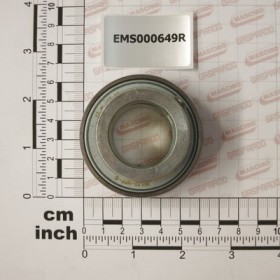 BEARING RAE 30 NPPB