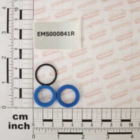 CYL GASKET KIT. 5000301