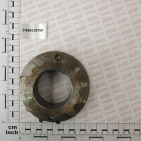 COMP.M. PINION SIC. EST.