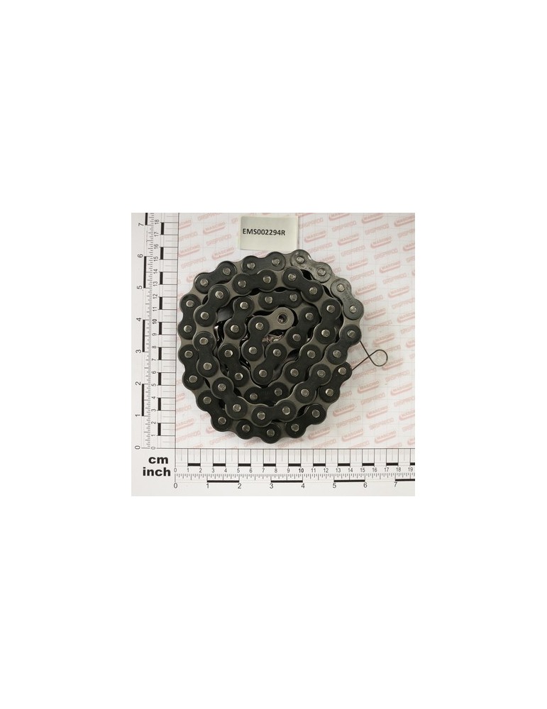 CHAIN A RULLI ASA60 53 P. + G