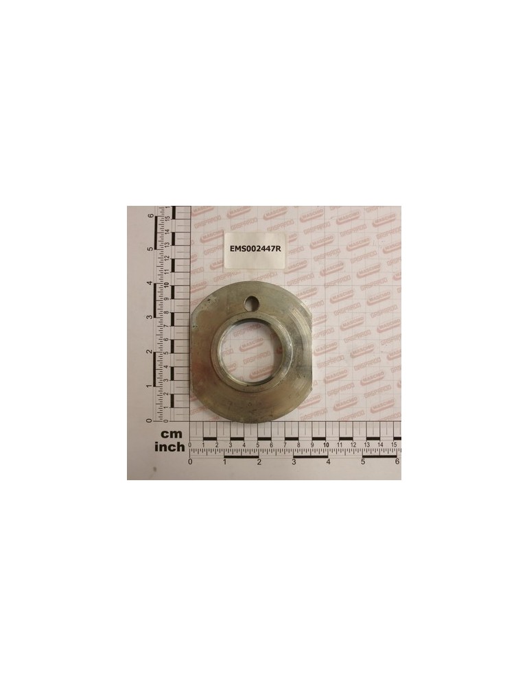 RING NUT  ZB