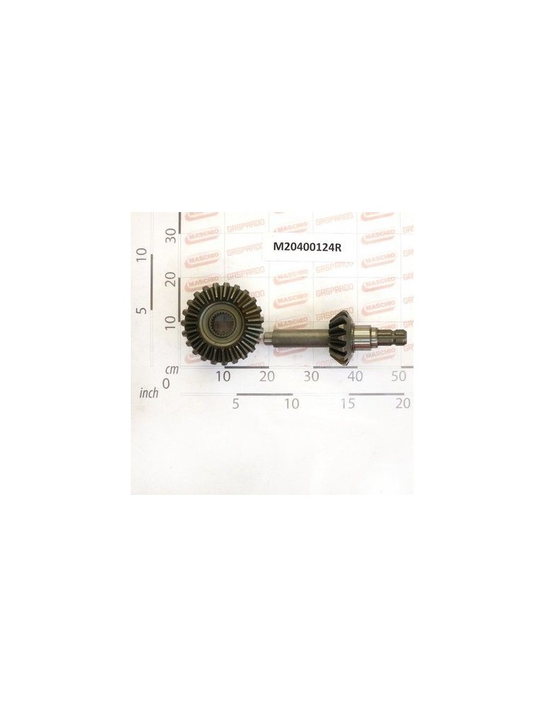 Maschio Gaspardo CUPLU CONIC COMPLECTA Z15-Z23 M20400124R