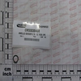 RING SEEGER E D. 12 7436