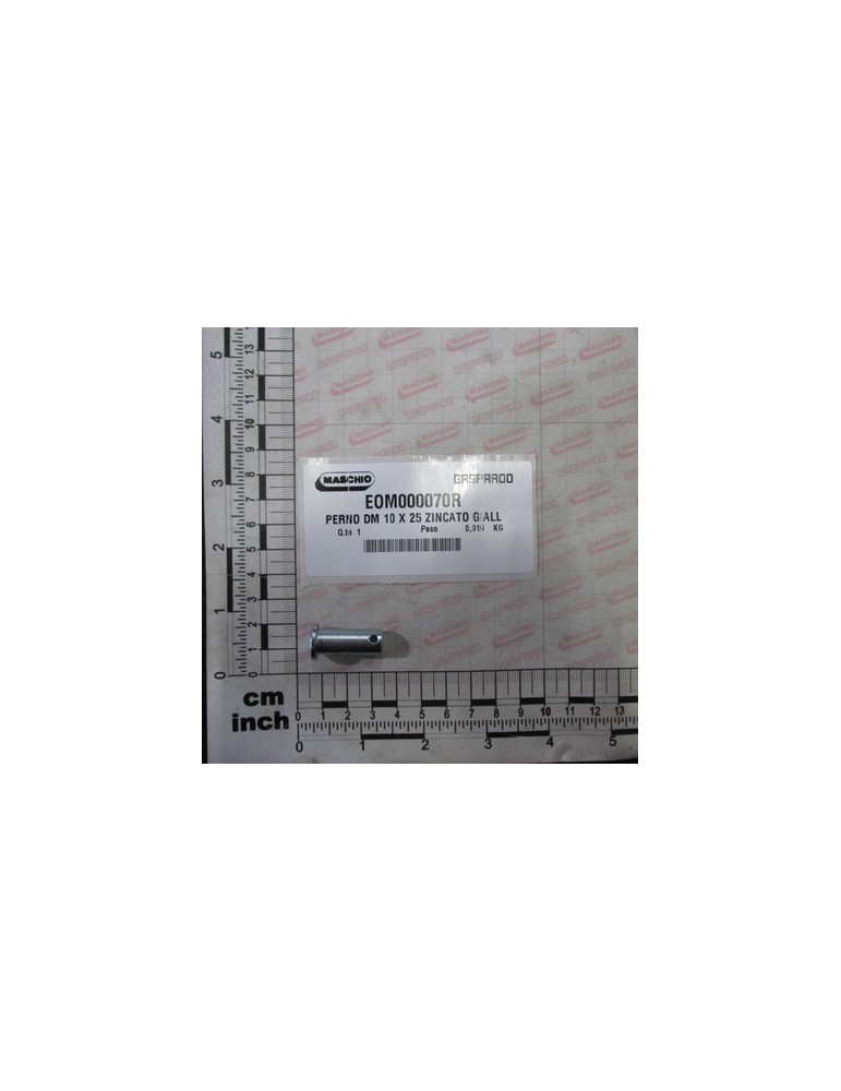 PIN DM 10 X 25 ZINCATO GIALL