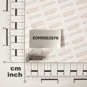 SCREW TE   8 X 20 INOX UNI 573
