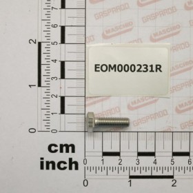BOLT TE 6X20 IX UNI 5739