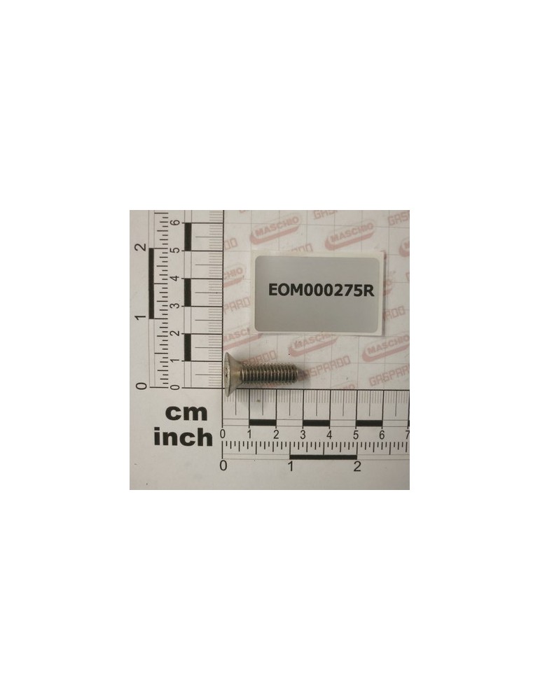 SCREW TSPEI 8X25 INOX UNI5933