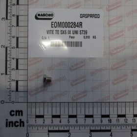 SCREW TE 5X6 IX UNI 5739