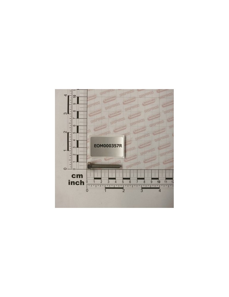 SCREW TE 6X40 INOX UNI 5739 DI