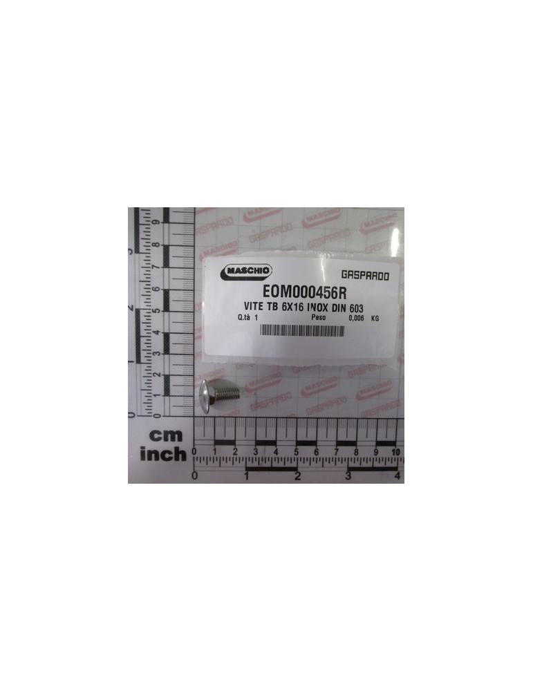 SCREW TB 6X16 INOX DIN 603