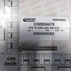SCREW TE 8x65 STAINL. UNI 5737