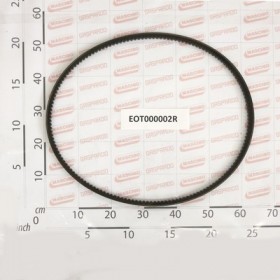 BELT SGRANASASSI CX68