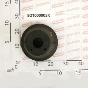 COVER SGRANASASSI