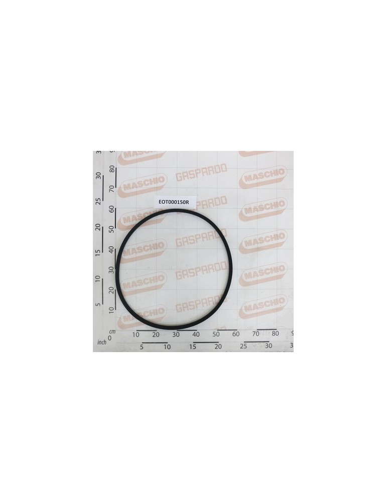 BELT SGRANASASSI C68