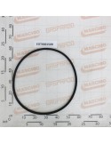 BELT SGRANASASSI C68