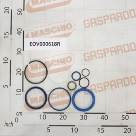 GASKET SET TRACTION CYL.110/36