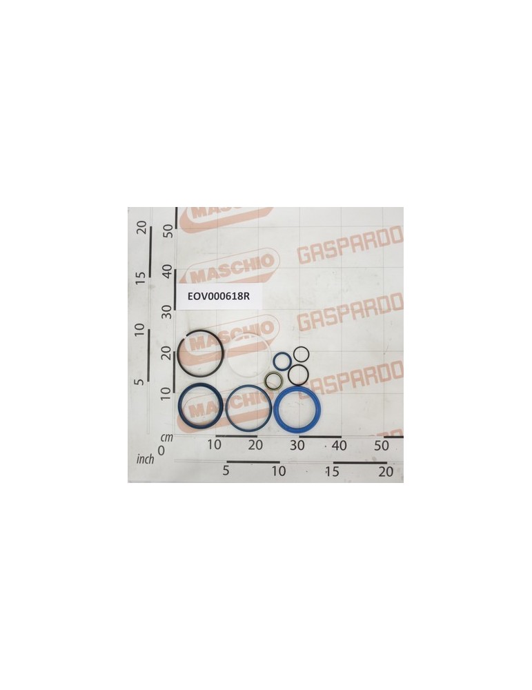 GASKET SET TRACTION CYL.110/36