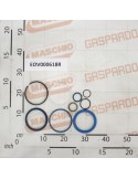 GASKET SET TRACTION CYL.110/36