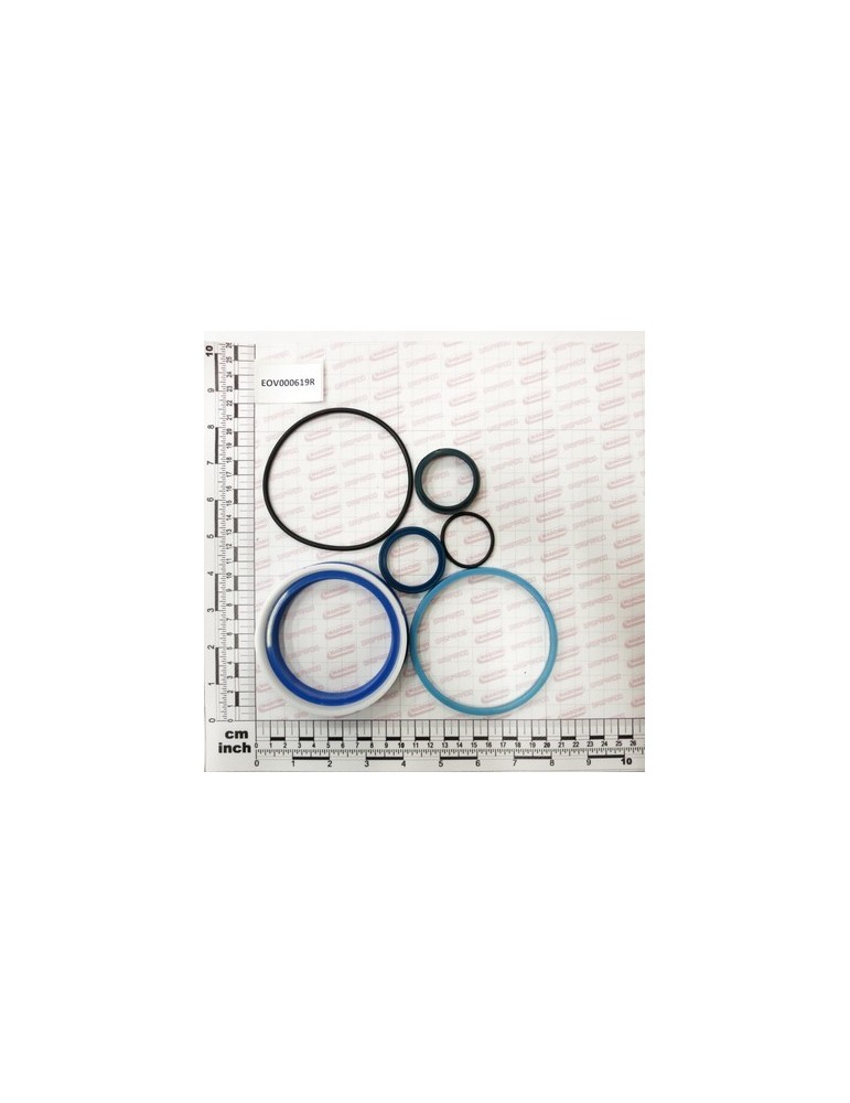 GASKET SET TRACTION CYL.100/36