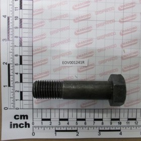 BOLT 20*80 10.9