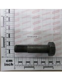 BOLT 20*80 10.9