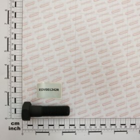 BOLT D-931 20*70 8.8