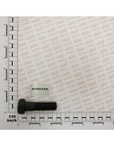 BOLT D-931 20*70 8.8