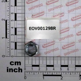 NUT D-934 12 8.8 Z