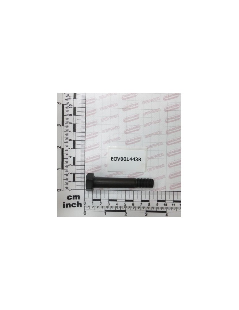 SHARE BOLT 12*70 12.9