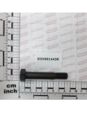 SHARE BOLT 12*70 12.9