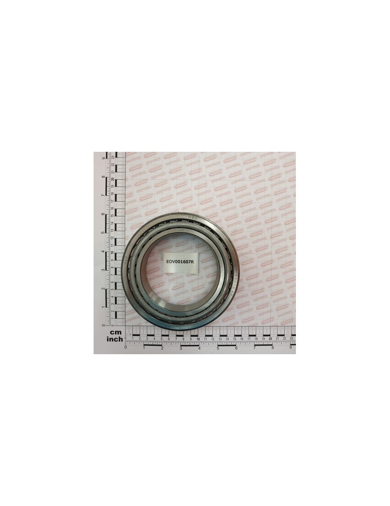 BEARING 32019