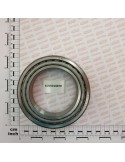 BEARING 32019