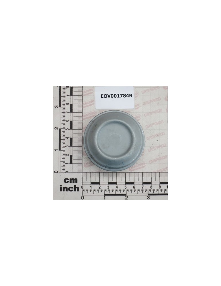 SEMI-AXLE HUBCAP S/F-45