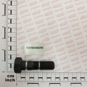 BOLT 20*70 8.8