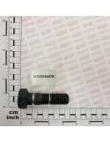 BOLT 20*70 8.8