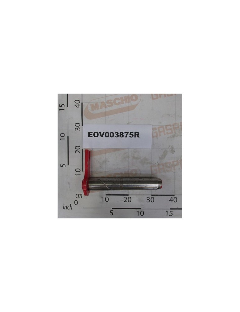 FRAME TURNING PIN 30X322