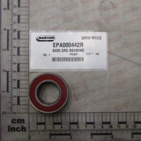 6005 2RS BEARING